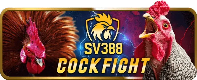 Chương trình VIP với các phần thưởng độc quyền