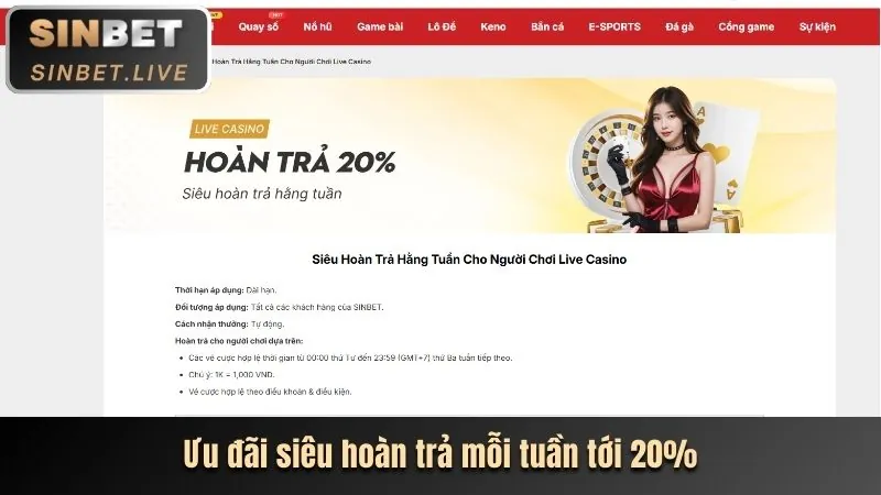 Haywin sử dụng thông tin để cải thiện dịch vụ